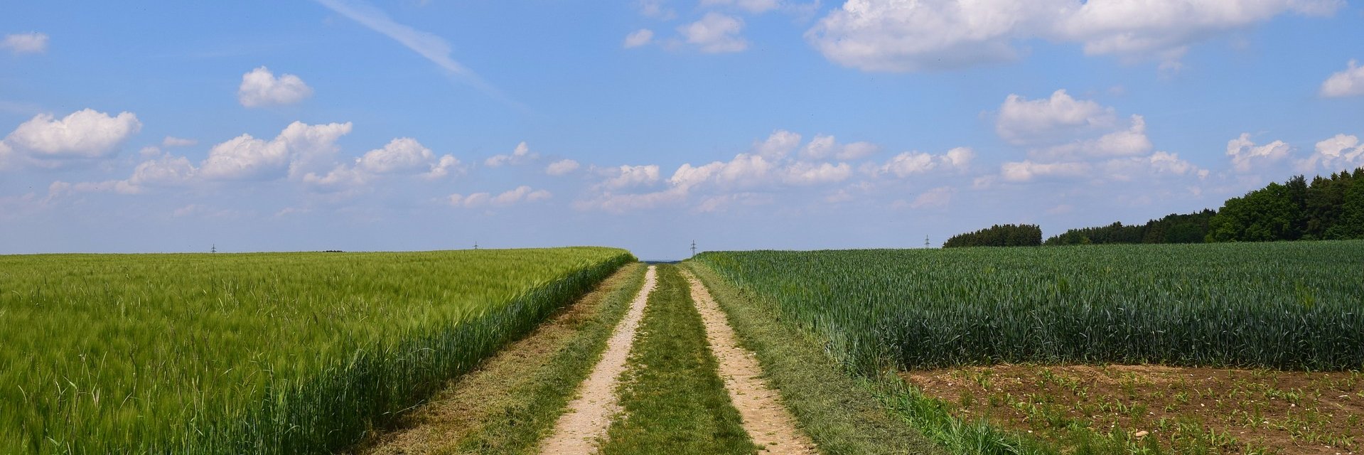 NorthcliffeMortgages banner