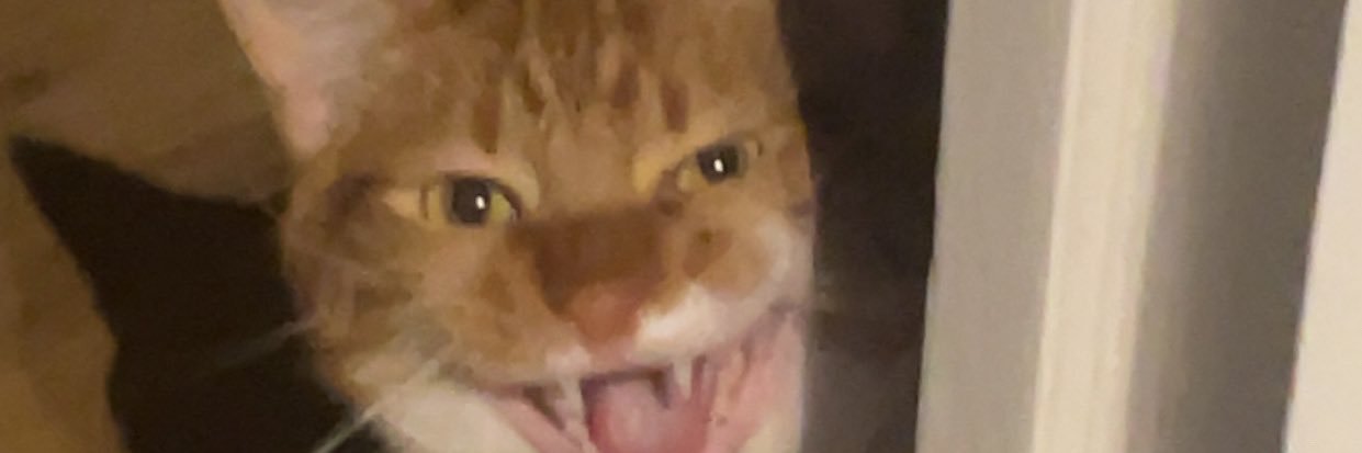 Rémiaouuuu banner