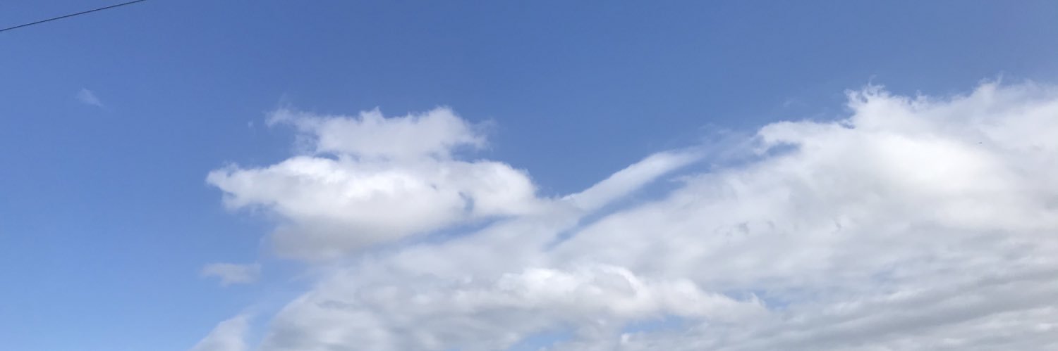 mdomflor's profile banner image