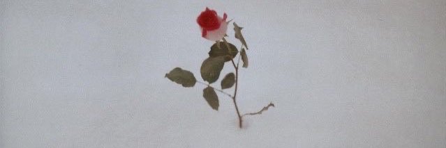 Amber banner