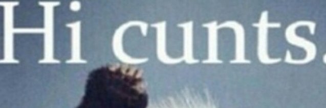 ChunkyTooSweet's profile banner image