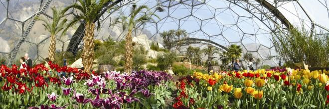 UKESIF🇬🇧🇪🇺 banner