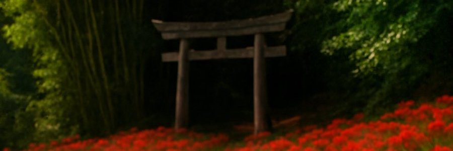Beinfuu's profile banner image