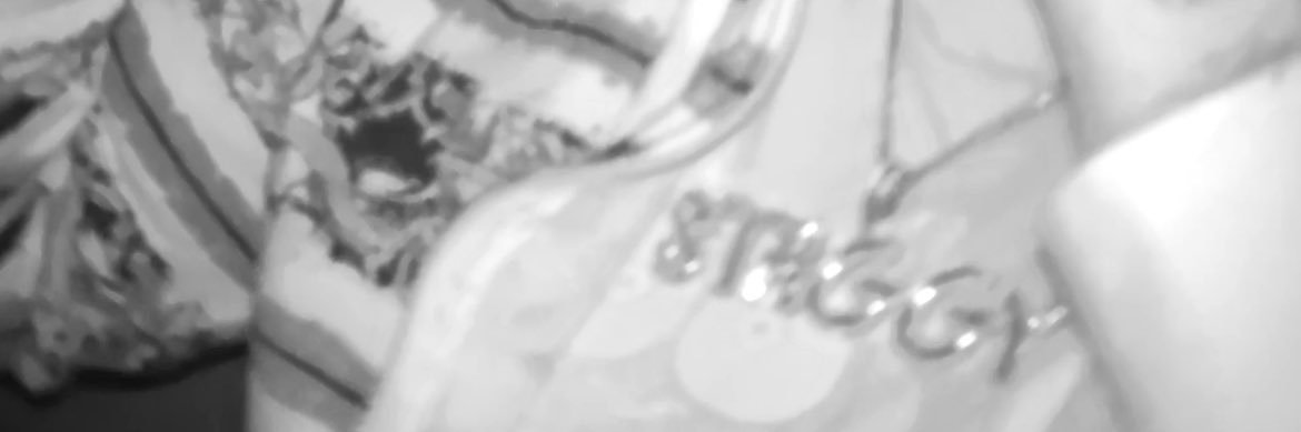 staggy banner