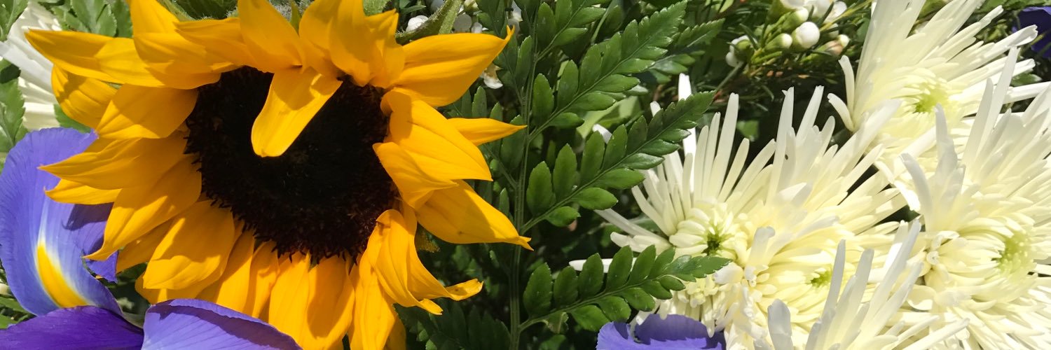 Valerie Shaffer banner