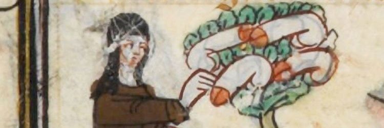 O Maldito Marques ☭ 🇵🇸 banner