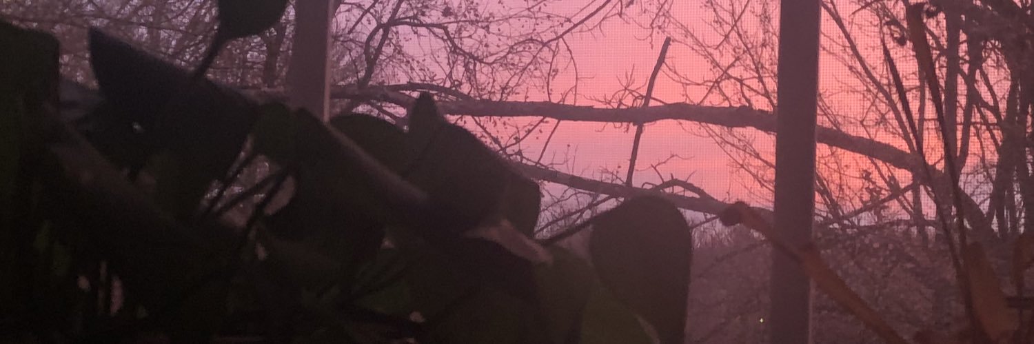 FlyingQuesADIA's profile banner image
