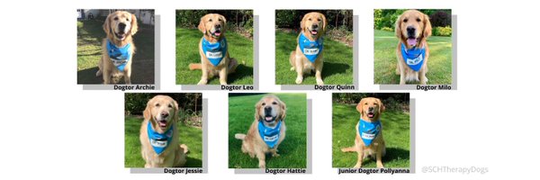 SCH Therapy Dogs 💙 Profile Banner