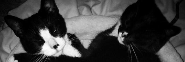 gemma_carly's profile banner image