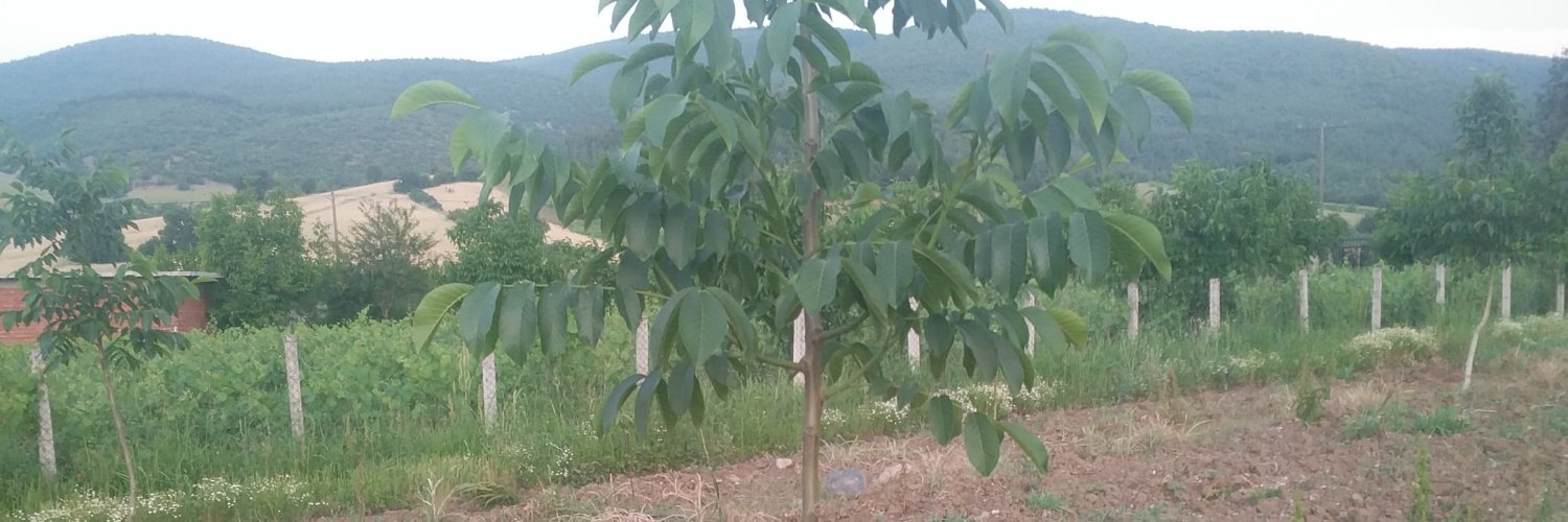 Bahadır Kırımca banner