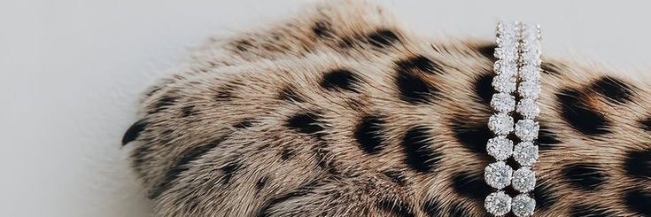 __eiv's profile banner image