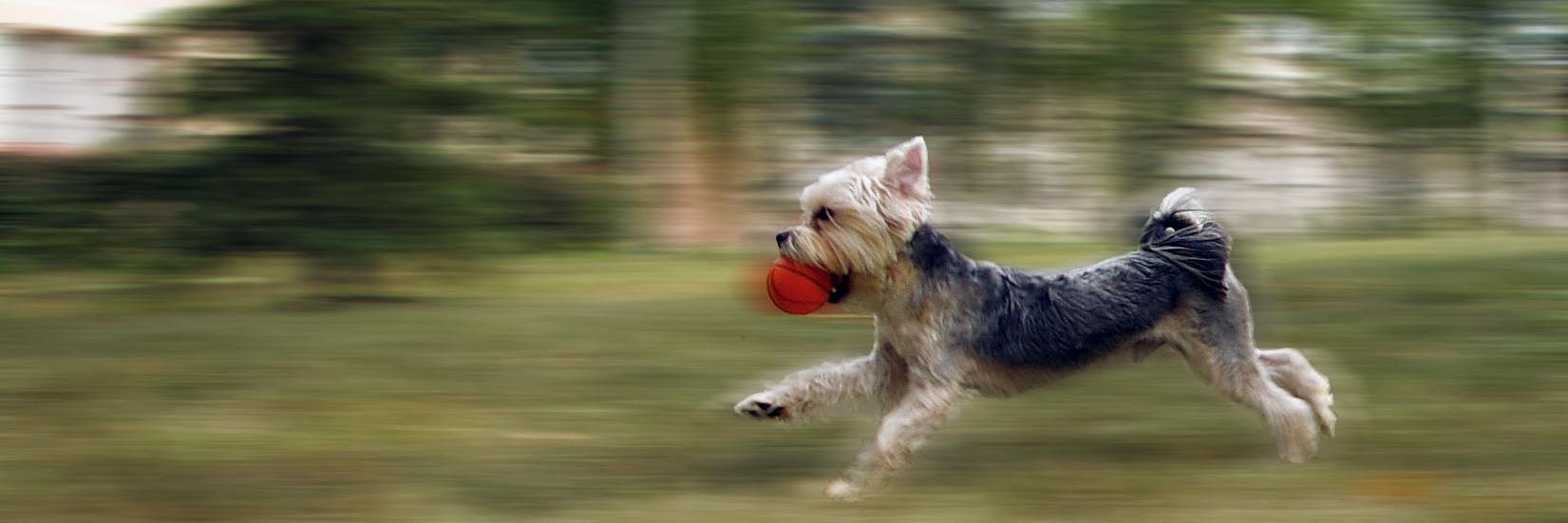 Екатерина Ступникова banner