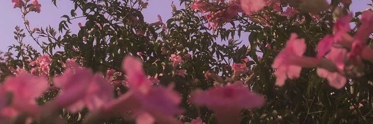 Karinaps88's profile banner image
