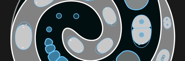 hanbitbaek Profile Banner