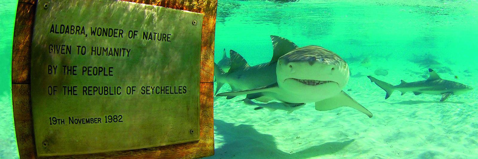 István Orszáczky banner