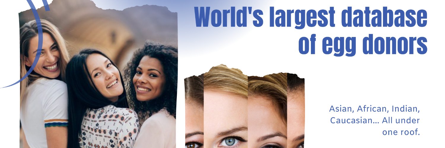 BPSurrogacy's profile banner image