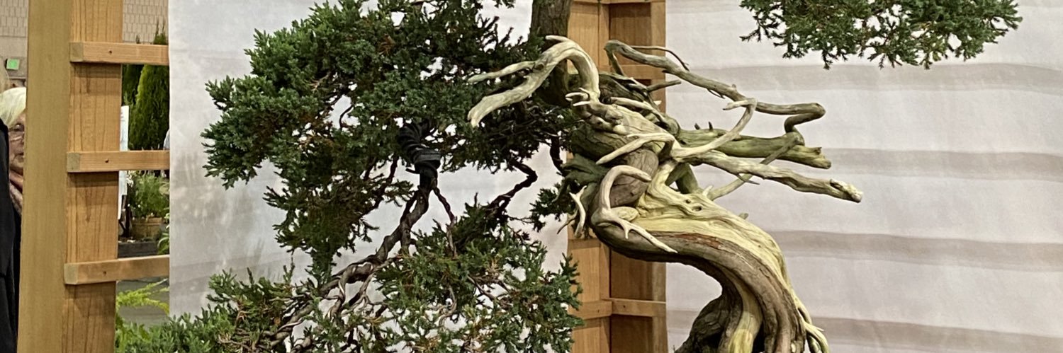 windstokesfire's profile banner image