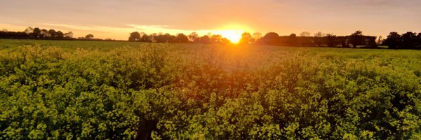 AlisonCullinan2 Profile Banner