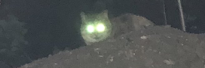 宮坂 洋生 banner