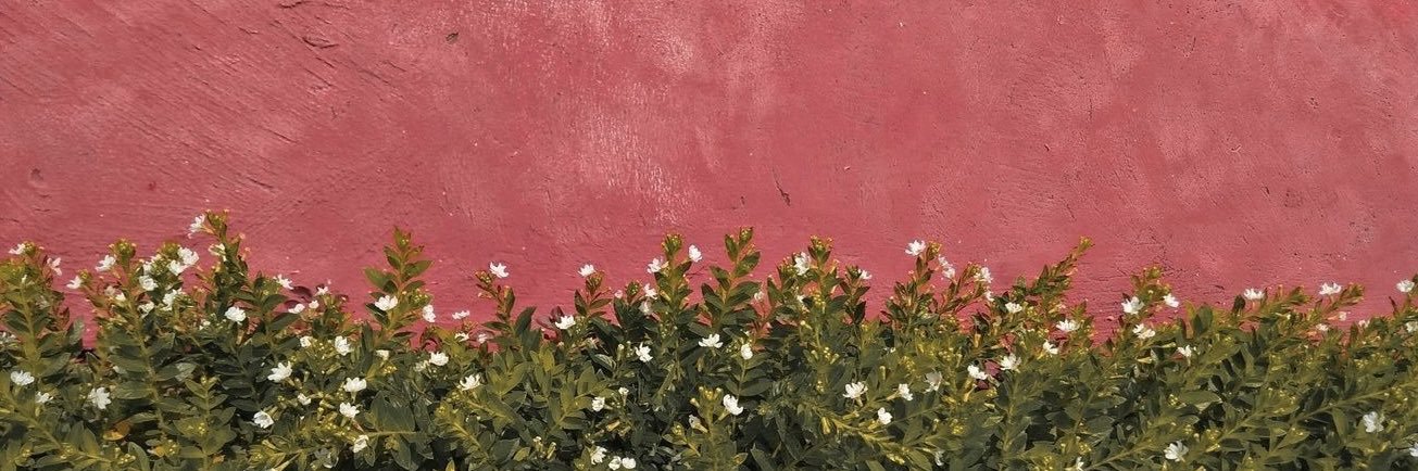 lua É MED UFRJ 🩺 banner