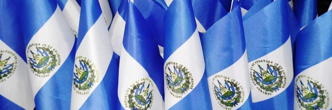 pamonterrosa's profile banner image