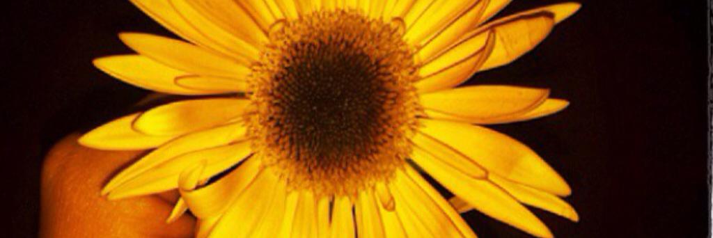 ➰ banner