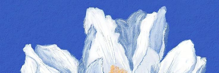 inbitterness's profile banner image