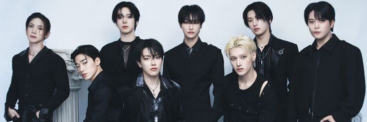 Vaeenerys's profile banner image