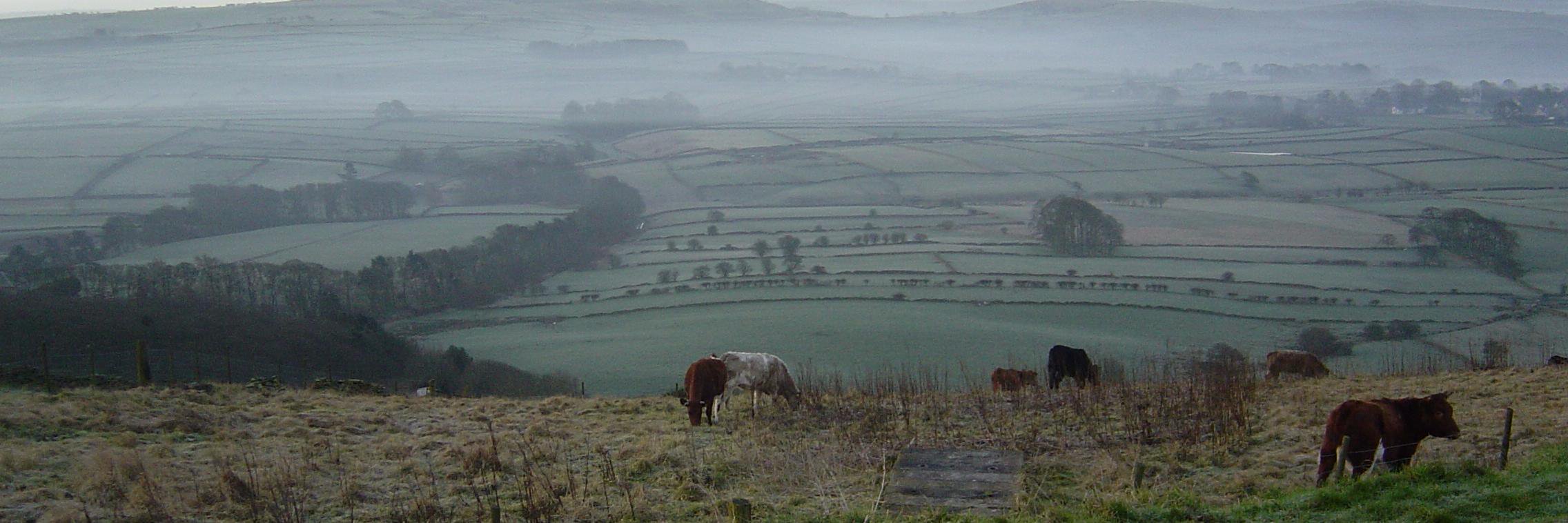 Patricia Malcolm banner