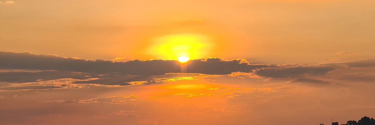 nanilla20's profile banner image