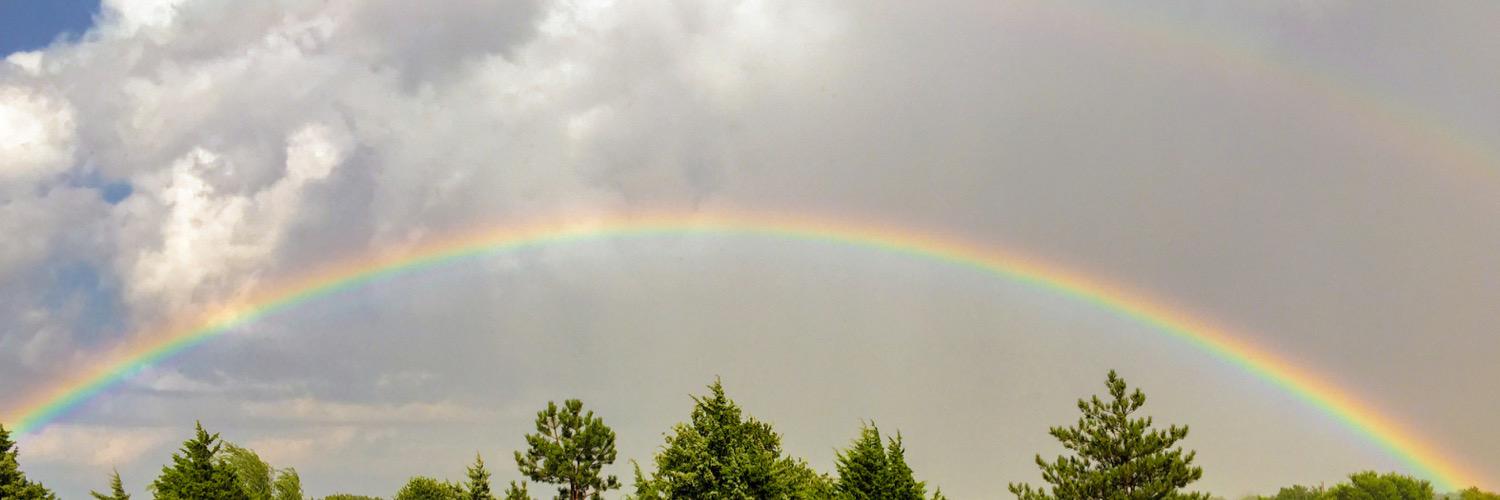 peacefulstorms's profile banner image