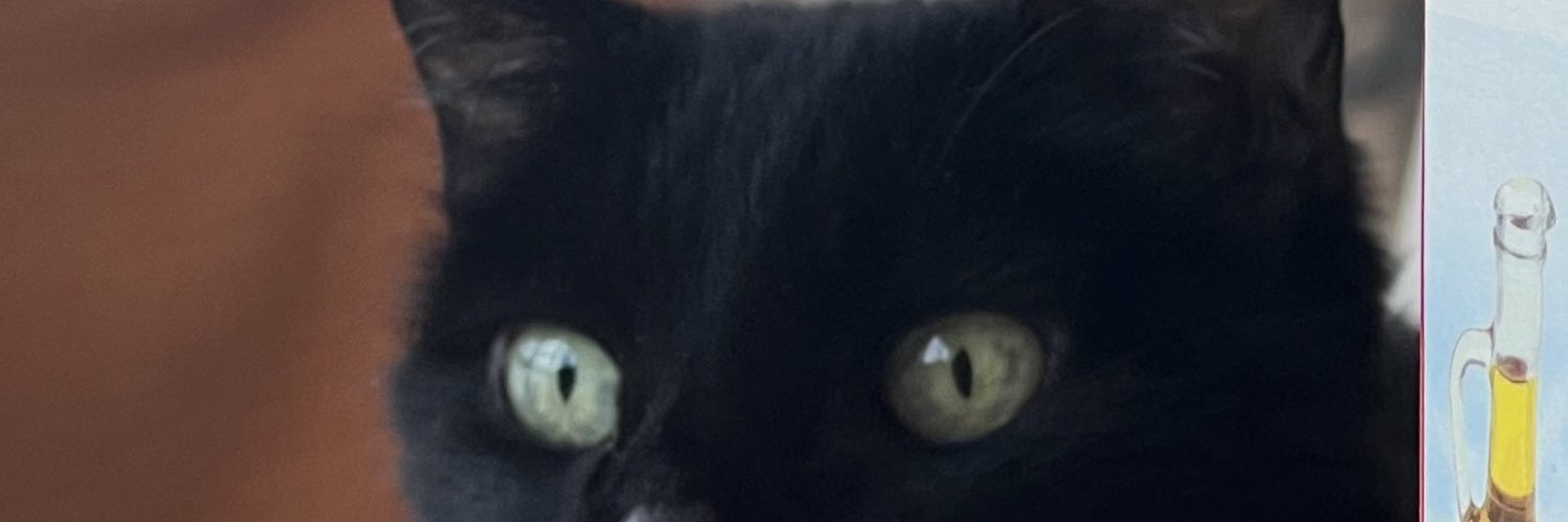 AnaFSanchez10's profile banner image