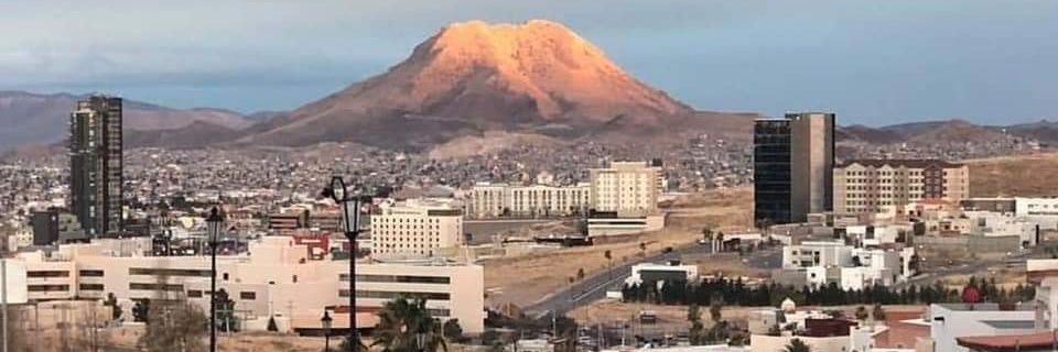 Out Of Context Chihuahua banner