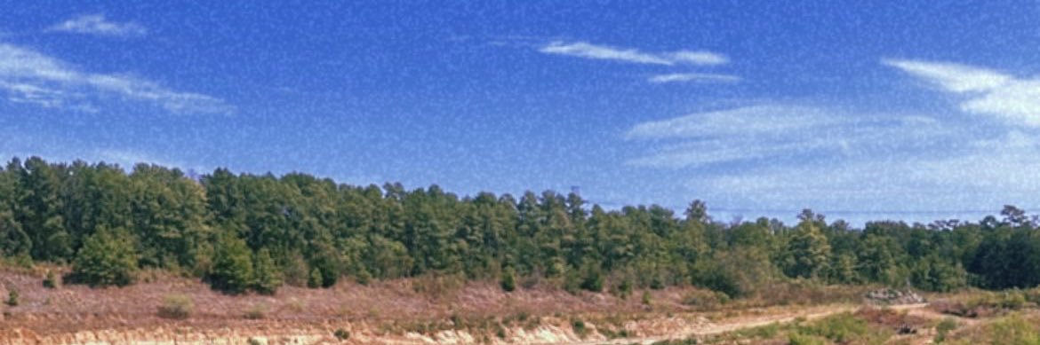 JordanxIris's profile banner image