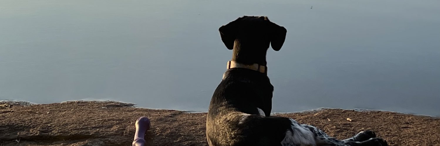 traceyjean7's profile banner image