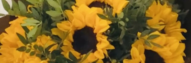 Chronically Asma 🌻 banner