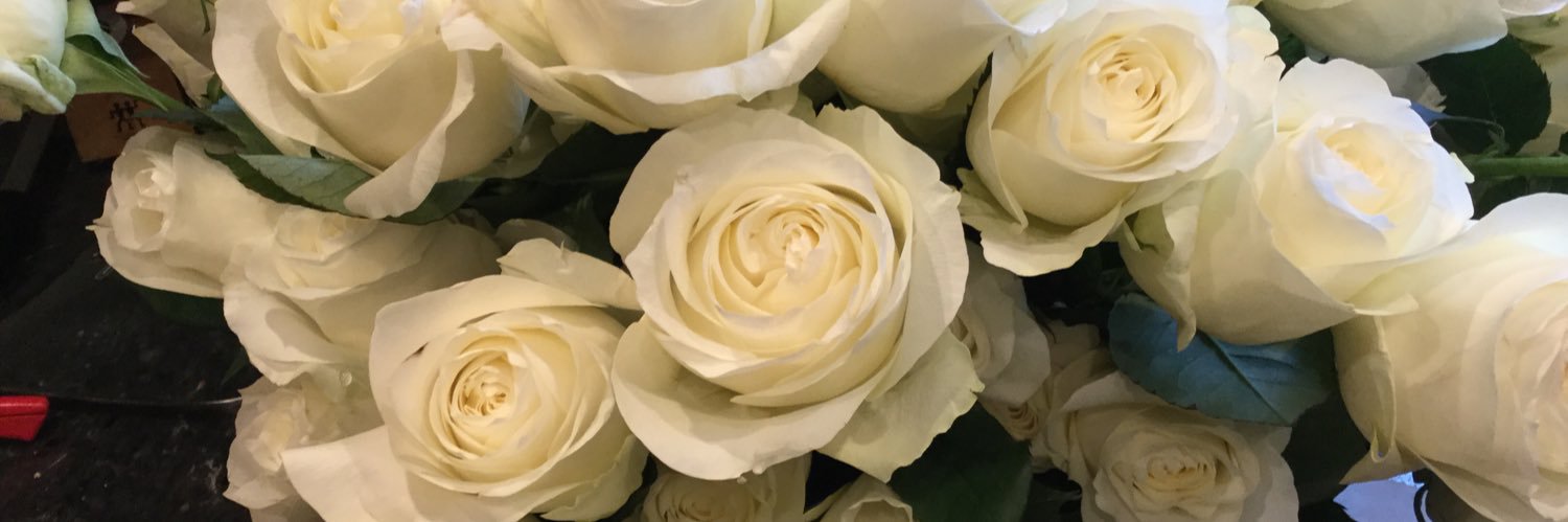 Sylvia Ahern banner