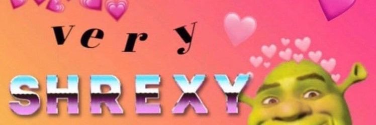 sheisnevil's profile banner image