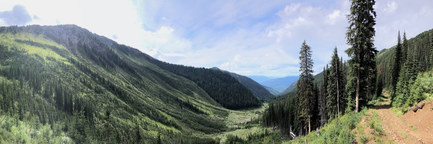 LivingInClownWorld banner