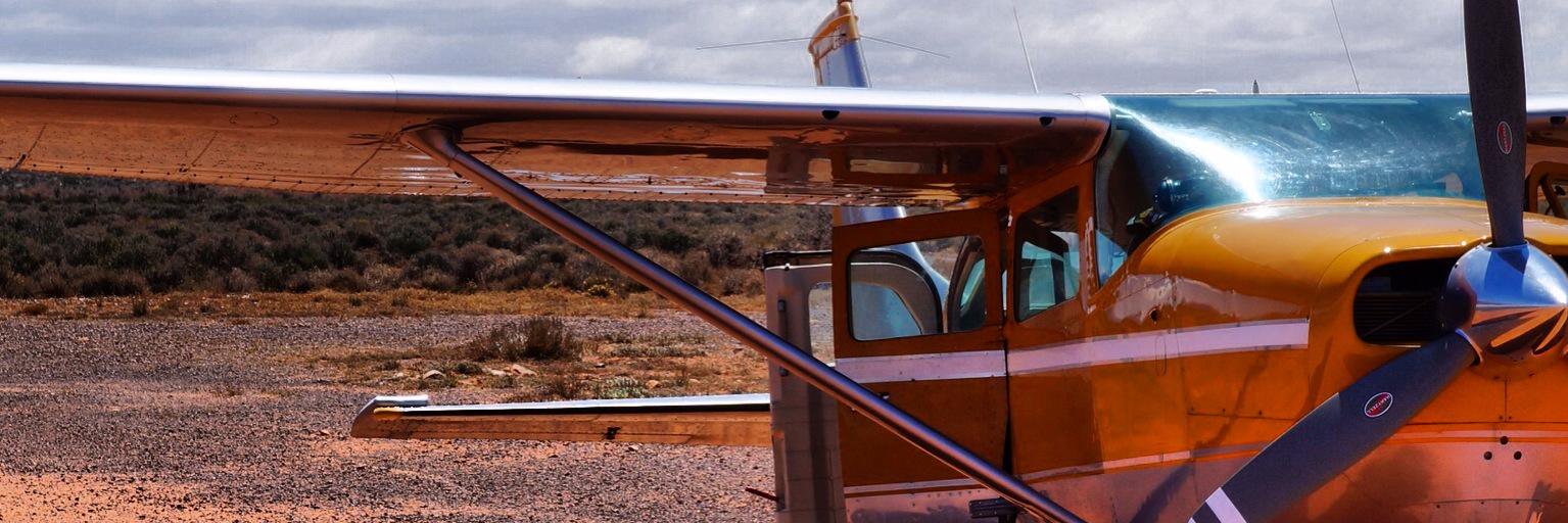 Nicole V. Cramer banner