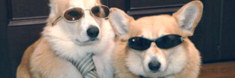 Logantuna's profile banner image