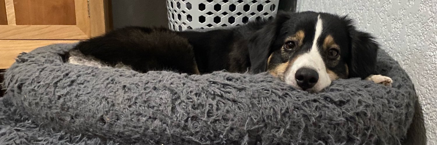 ChicoArtist's profile banner image