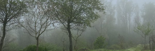 Foxylin Profile Banner