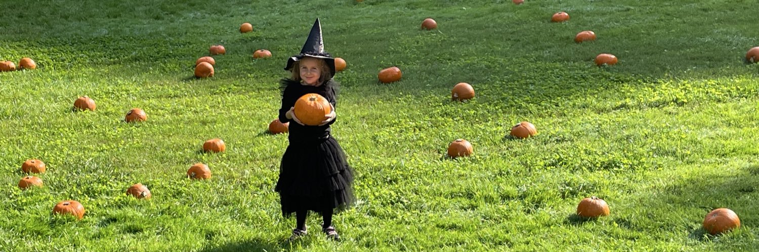 Francesco Maggi banner