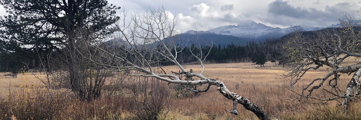 Nicolas `BeRewt` Biri banner