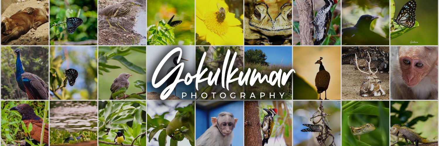 igokulkumar's profile banner image