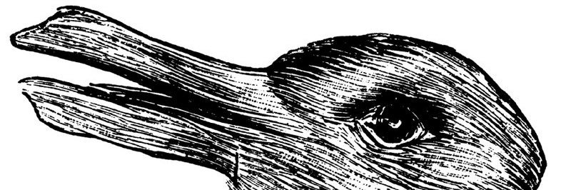 ZEL_L's profile banner image