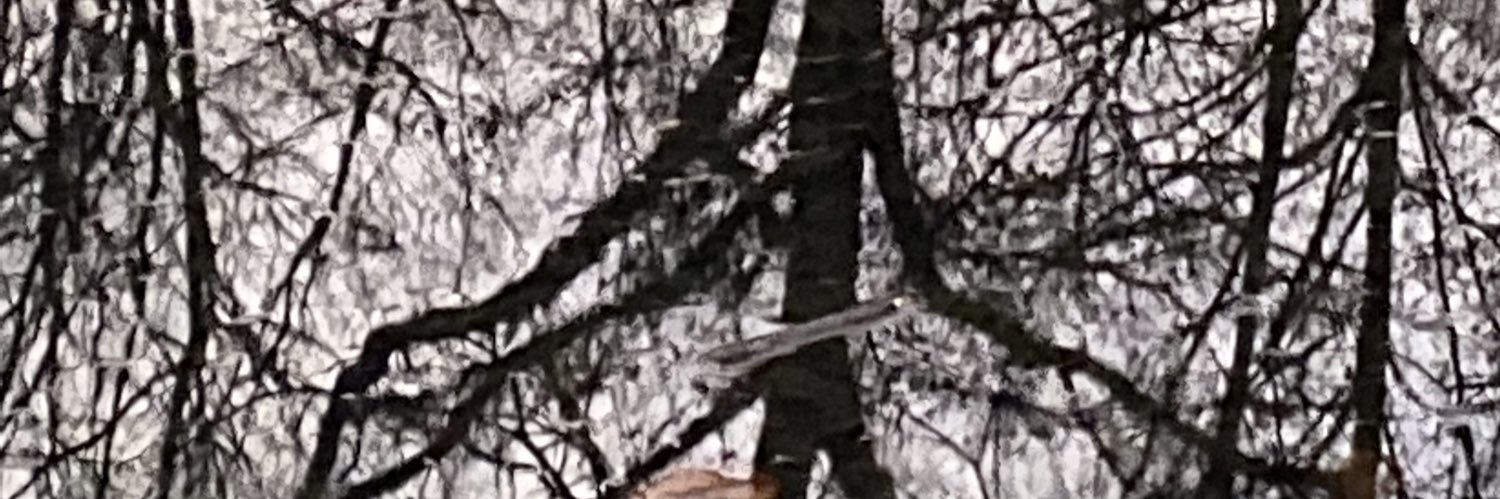 beabluekne's profile banner image