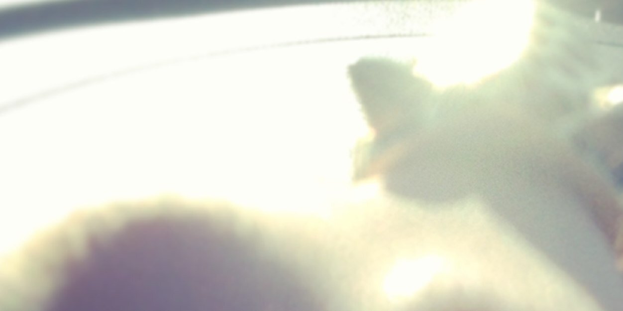 RDanySV's profile banner image