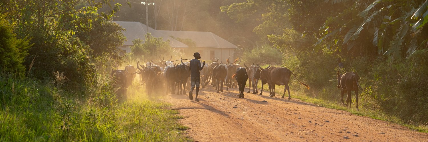 African Climate Action Partnership (AfCAP) banner